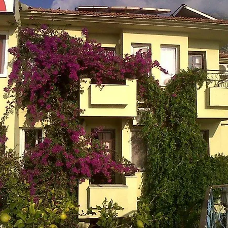 Otel Leda 3*